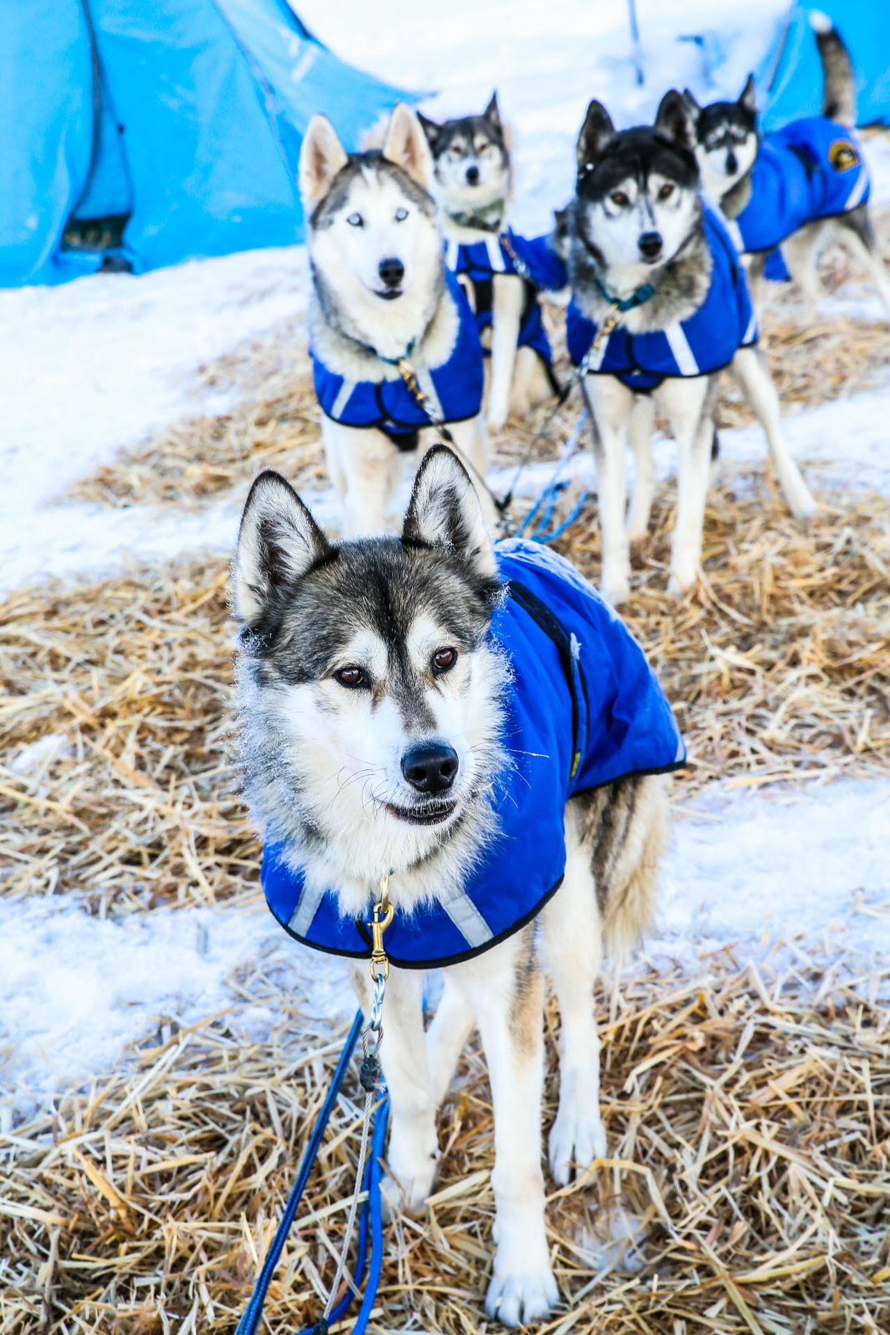 © Vincent Piccerelle