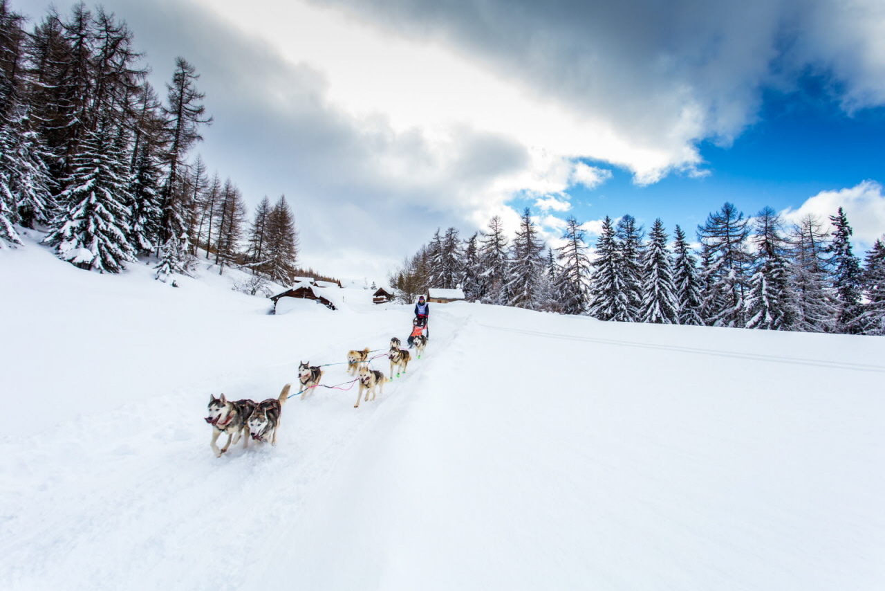 © Vincent Piccerelle