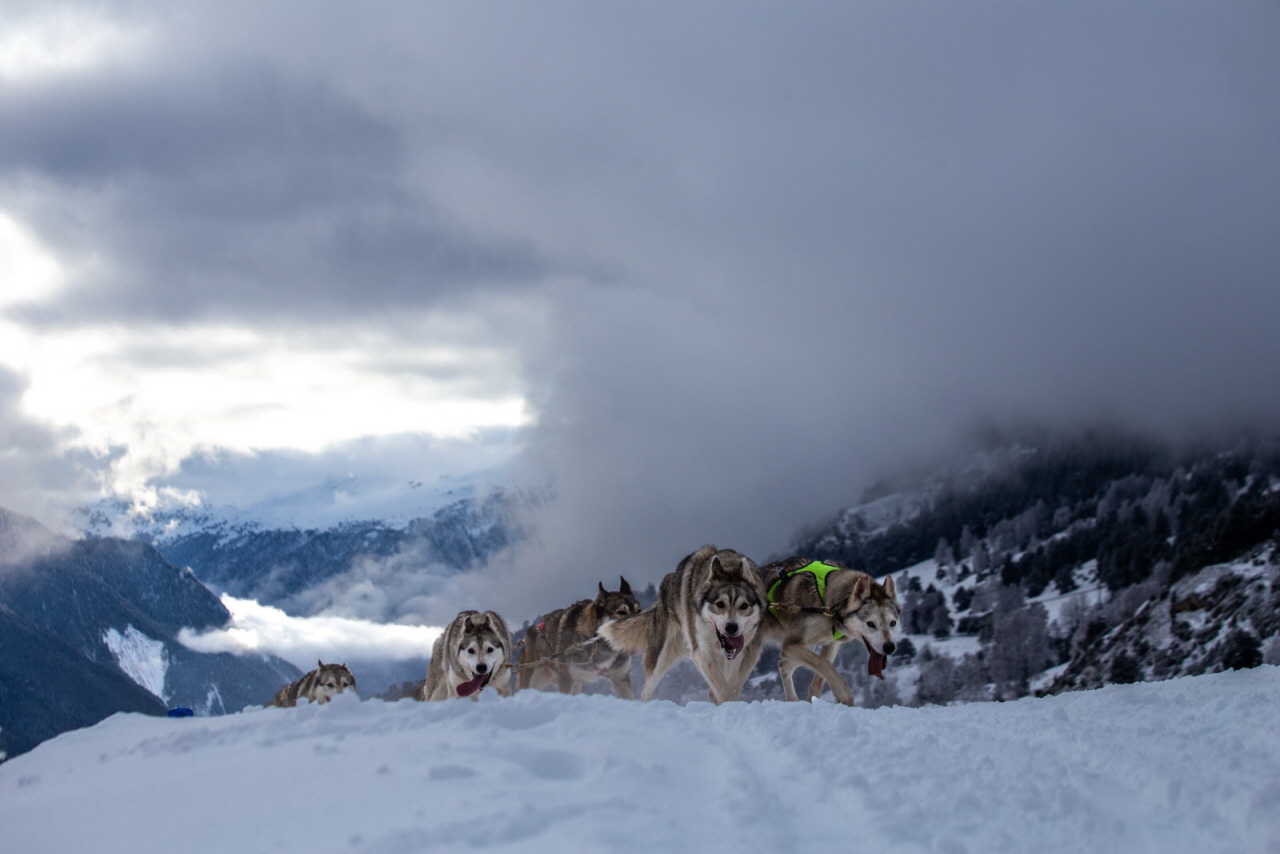 © François-Xavier Repellin