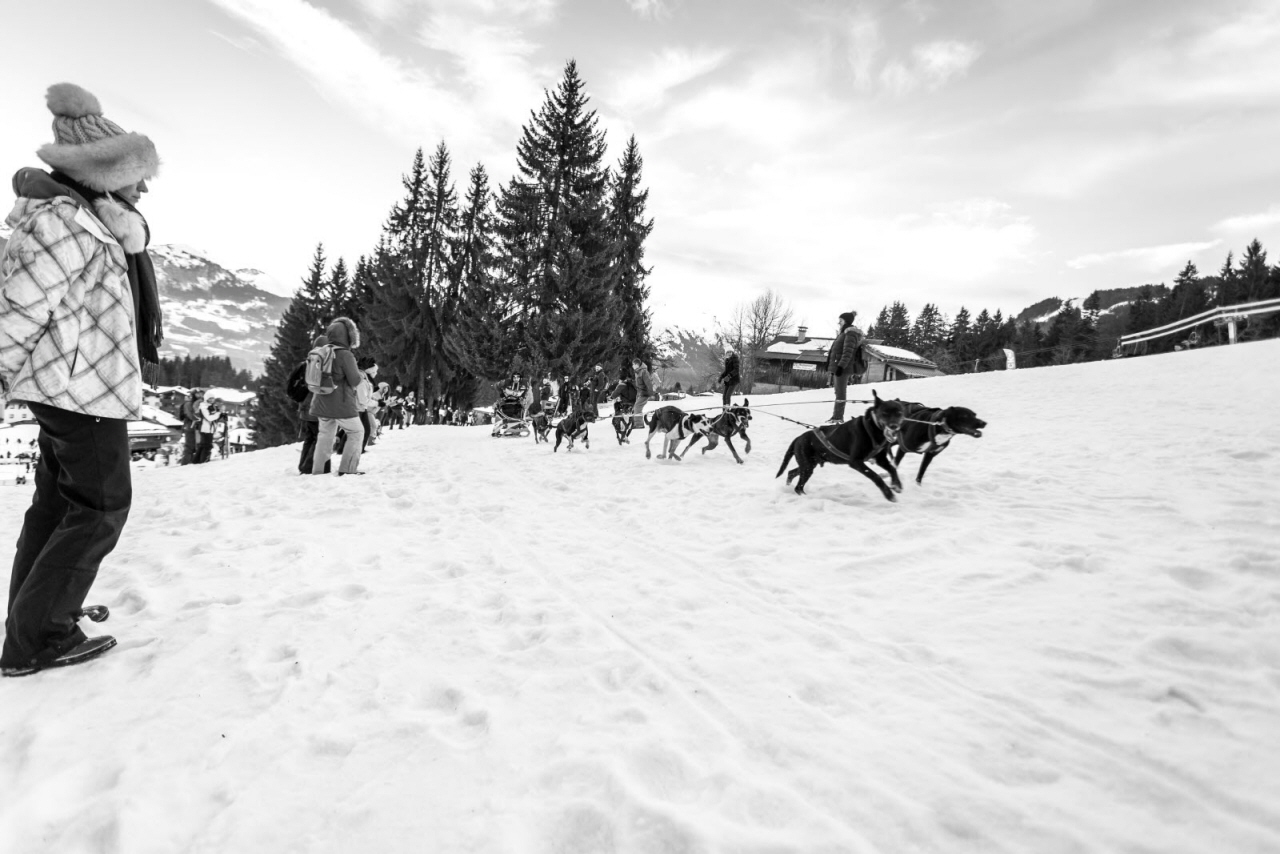 © Vincent Piccerelle