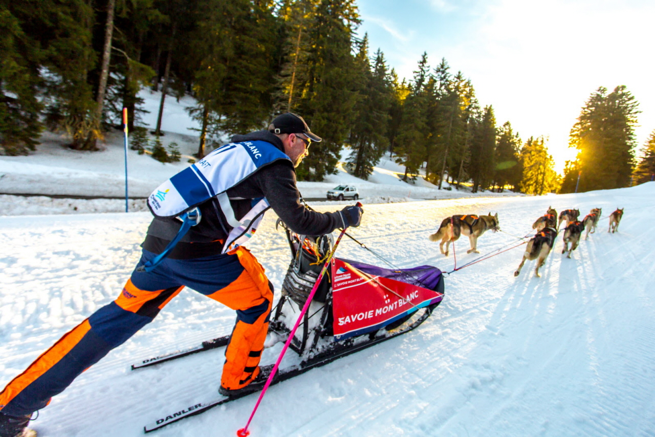 © Vincent Piccerelle