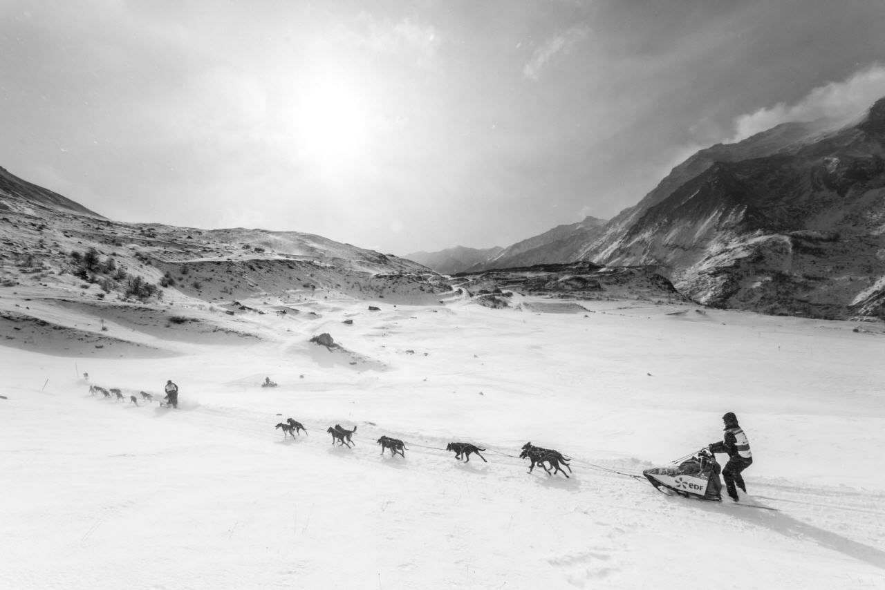 © Vincent Piccerelle