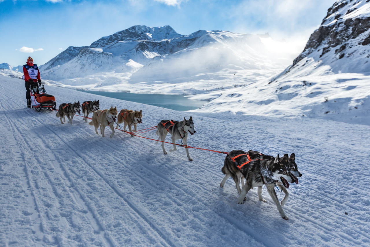 © Nathalie Allilaire