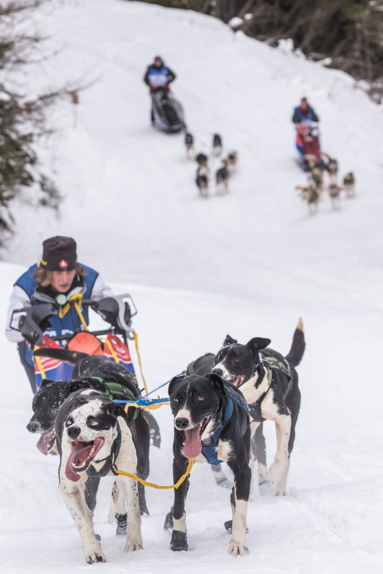 © Vincent Piccerelle