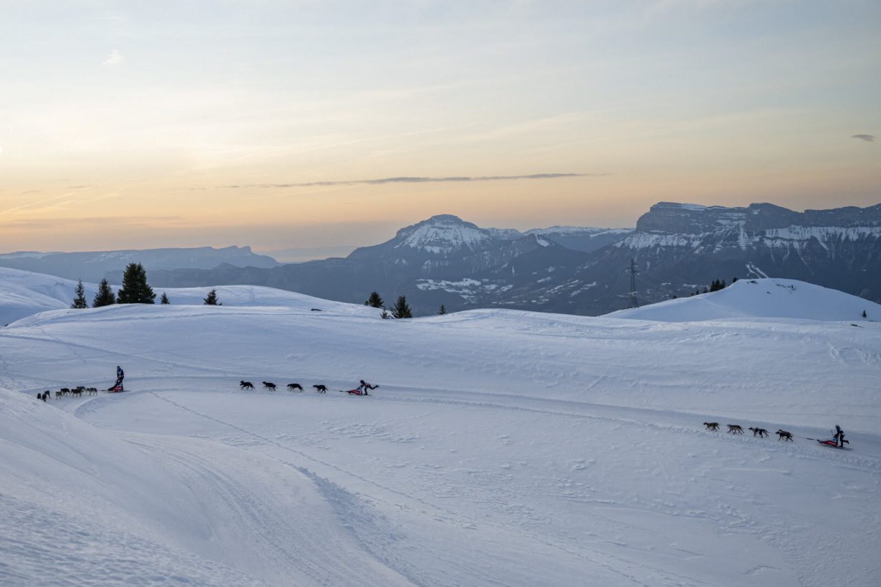 Presse LGO26 - 20.01.26 - Benoit Diacre - 5.jpg