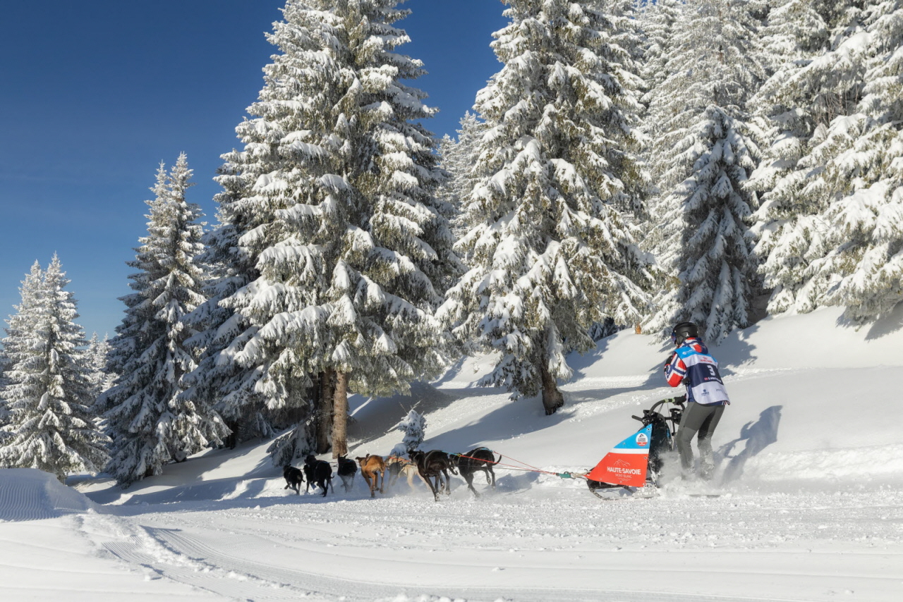 Presse LGO2026 110126 @jujuinstaphoto-4756.jpg