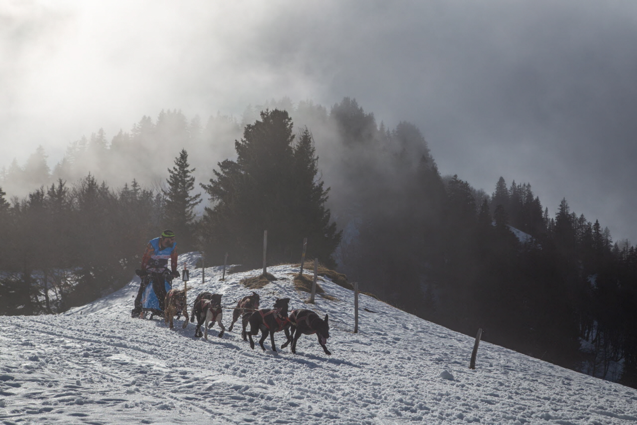 © François-Xavier Repellin