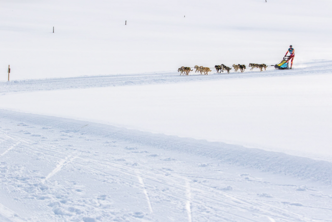 © Vincent Piccerelle