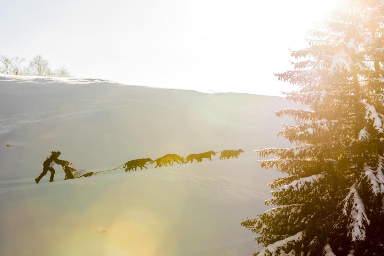 © Vincent Piccerelle