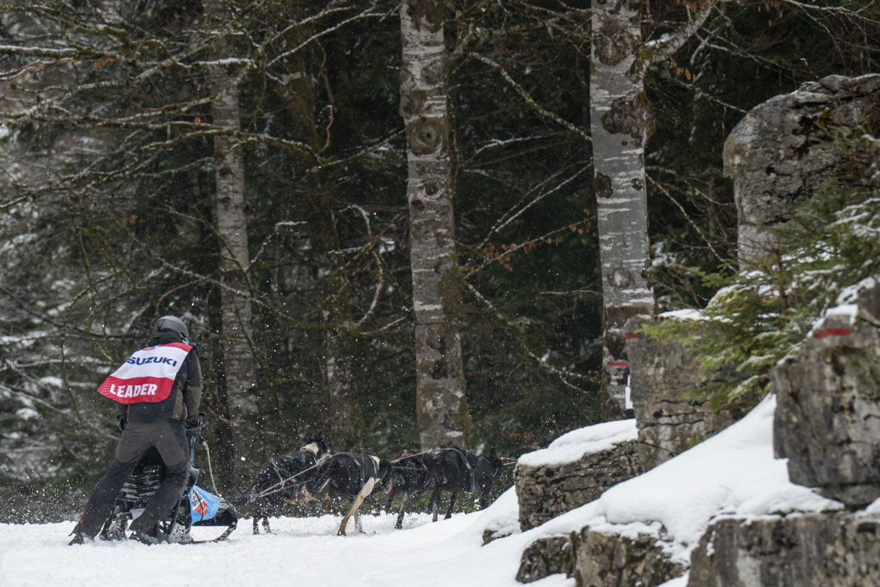 Presse LGO26 - 22.01.26 - Benoit Diacre - 14.jpg