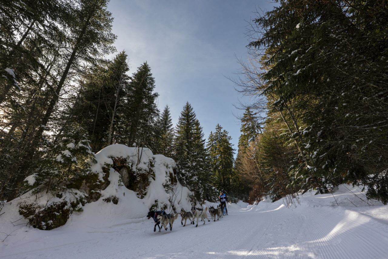 Presse LGO26 - 13.01.26 - Benoit Diacre - 16.jpg