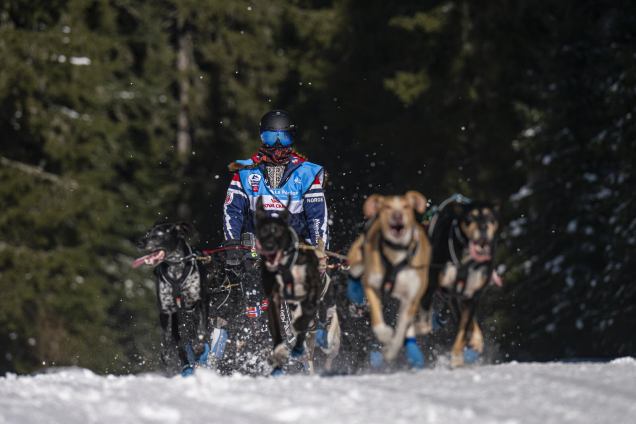 Presse LGO26 - 13.01.26 - Benoit Diacre - 8.jpg