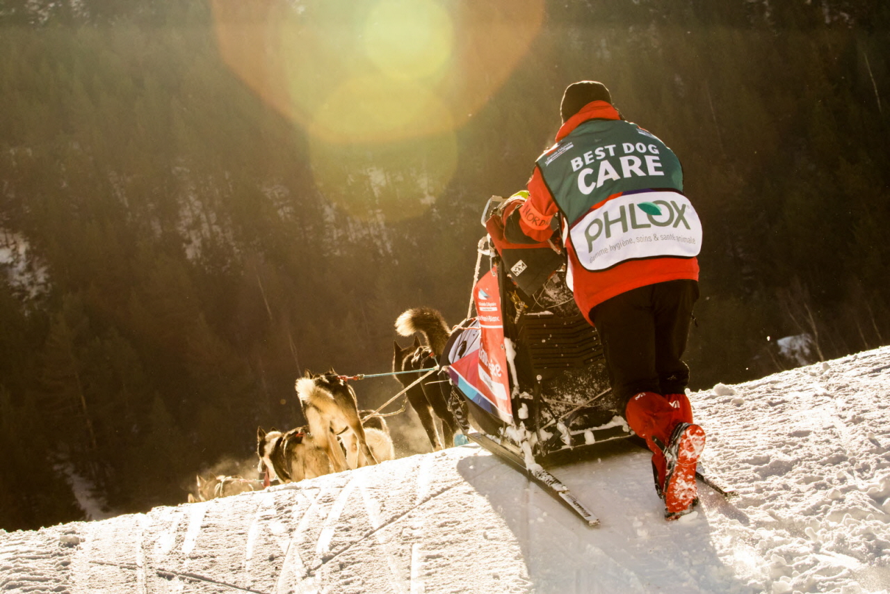 © Vincent Piccerelle