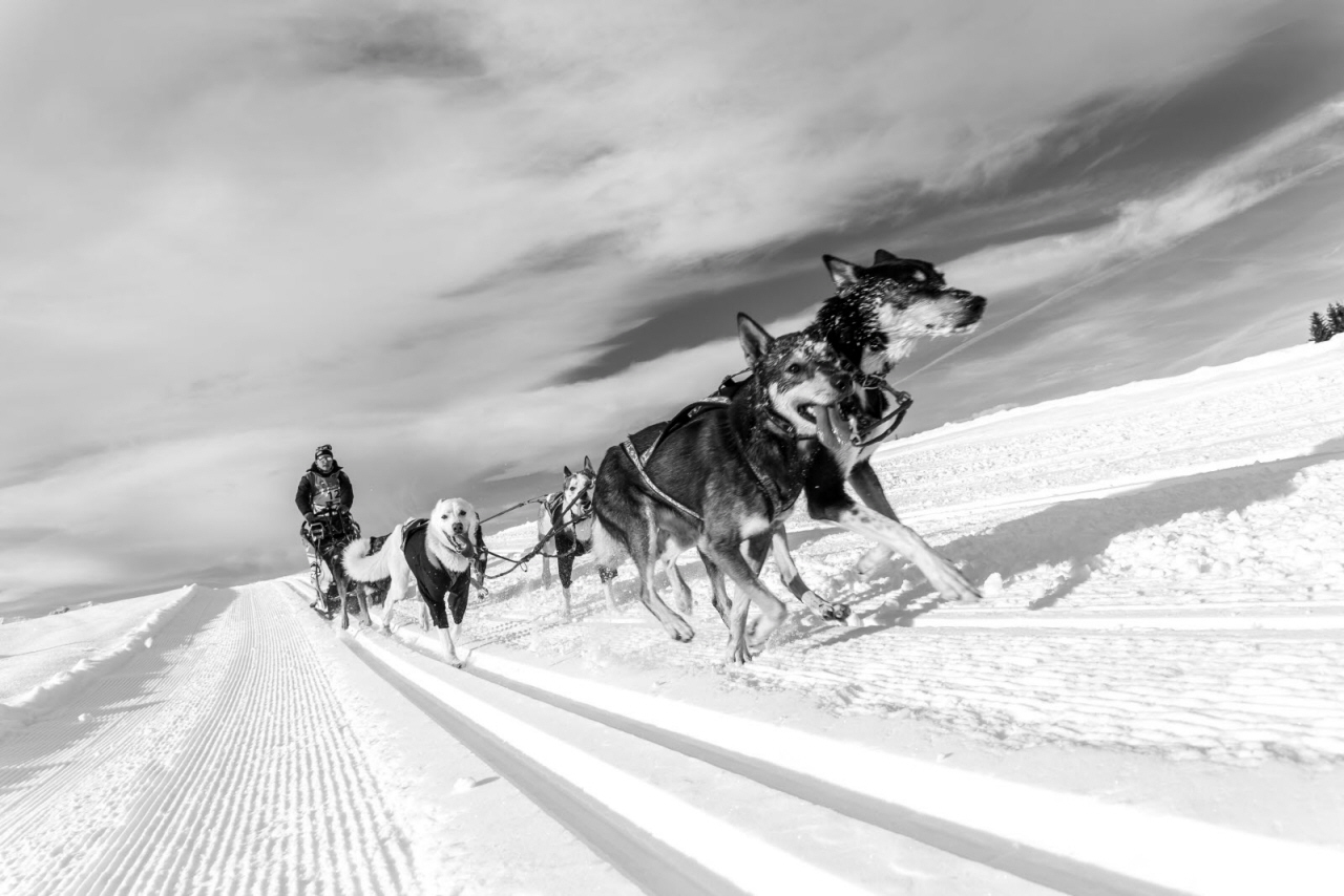 © Vincent Piccerelle