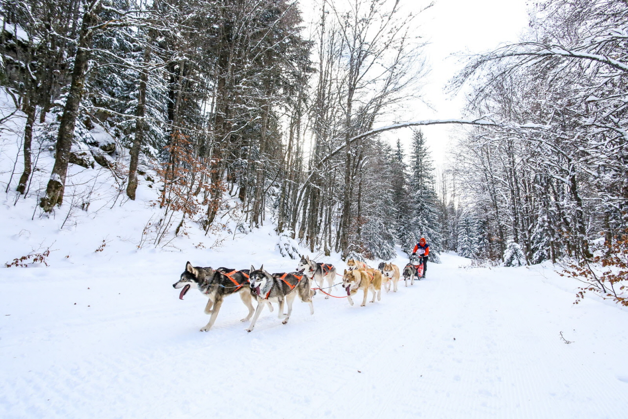 © Vincent Piccerelle