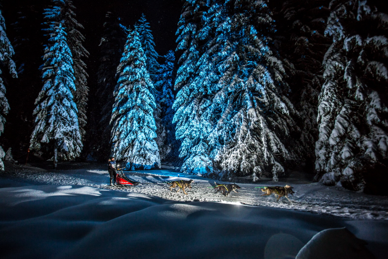 © Vincent Piccerelle