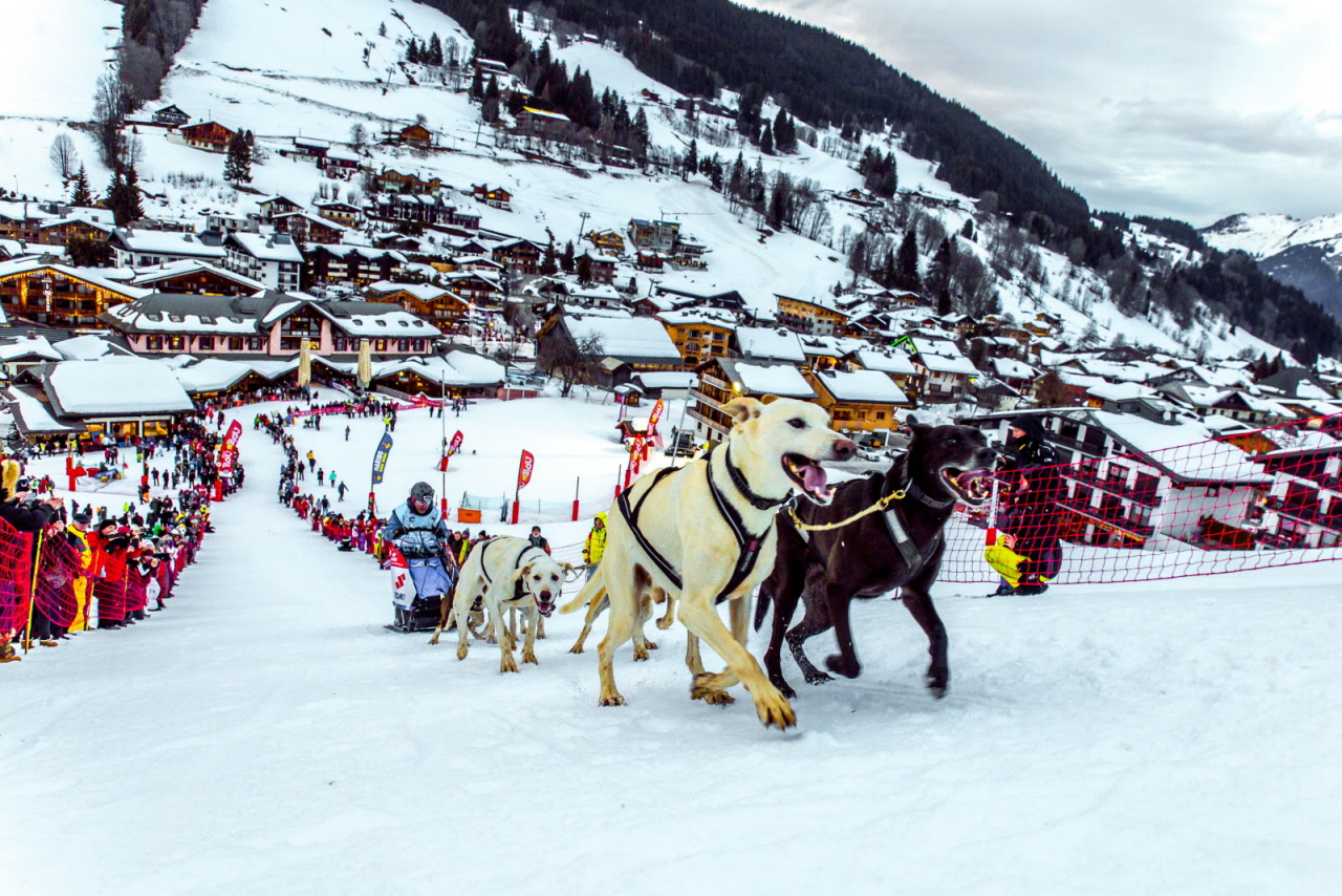 © Vincent Piccerelle