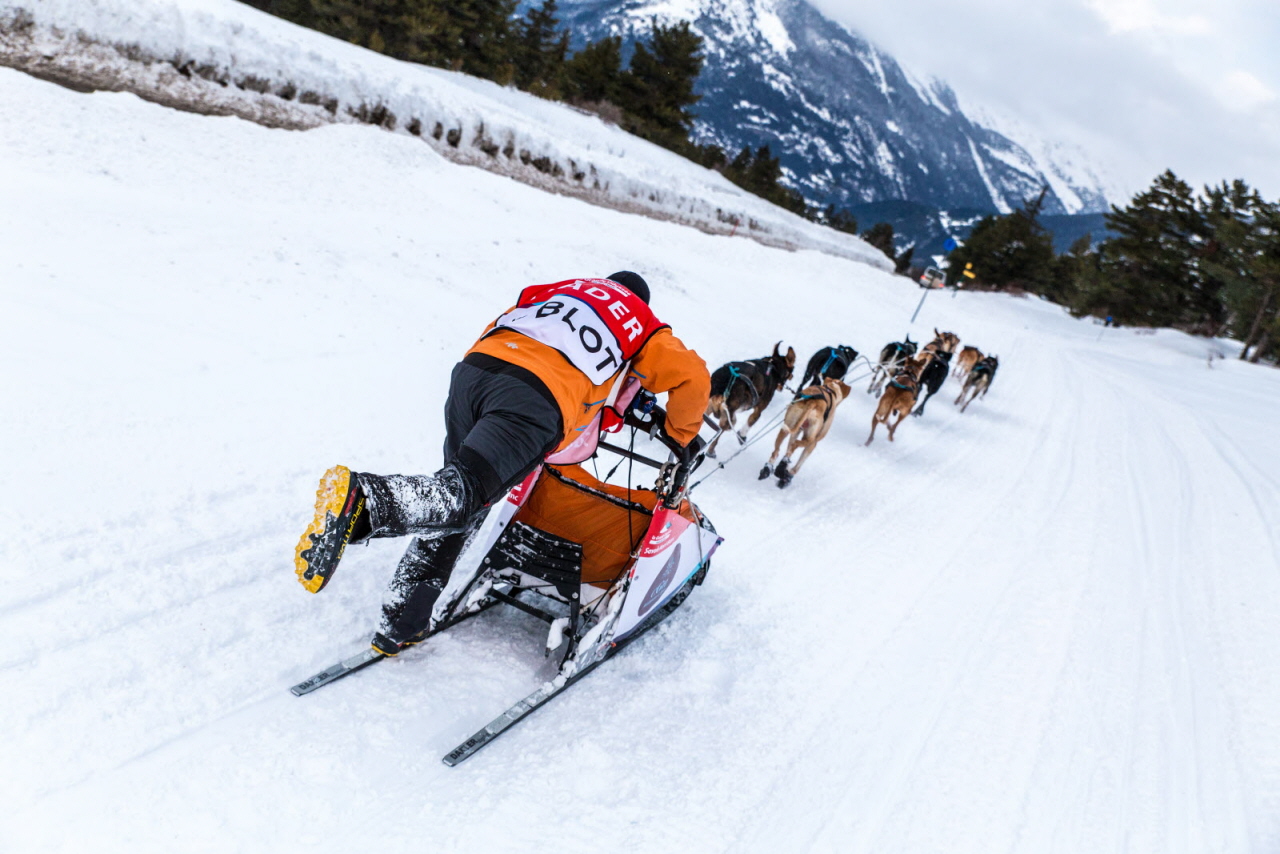 © Vincent Piccerelle