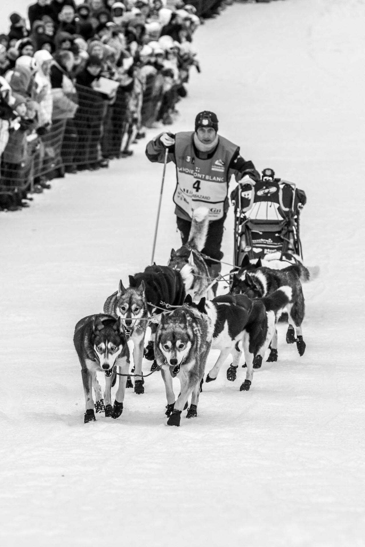 © Vincent Piccerelle