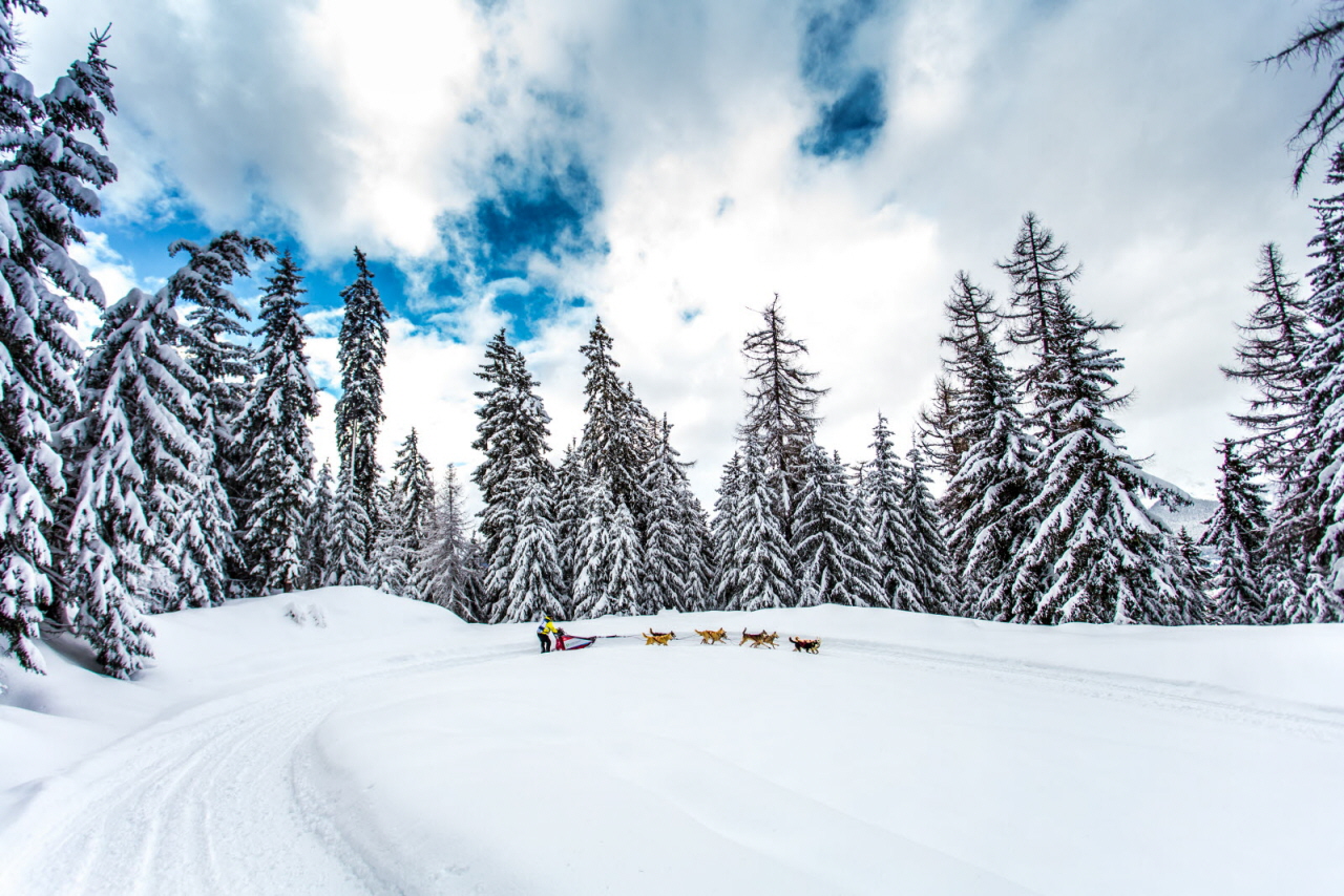 © Vincent Piccerelle