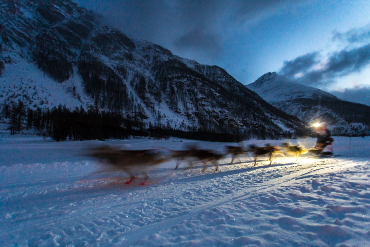 © Vincent Piccerelle