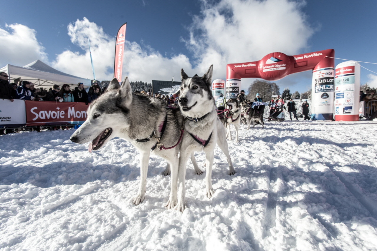 © Vincent Piccerelle