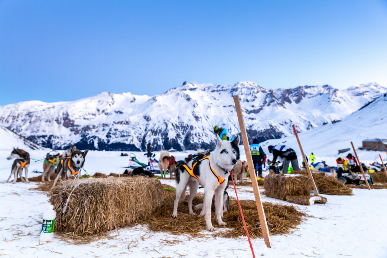 © Vincent Piccerelle