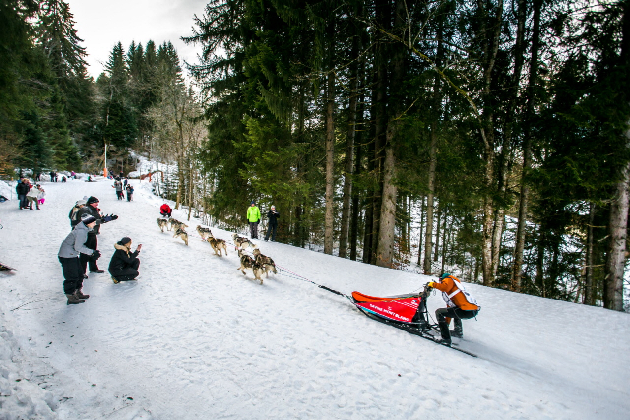 © Vincent Piccerelle